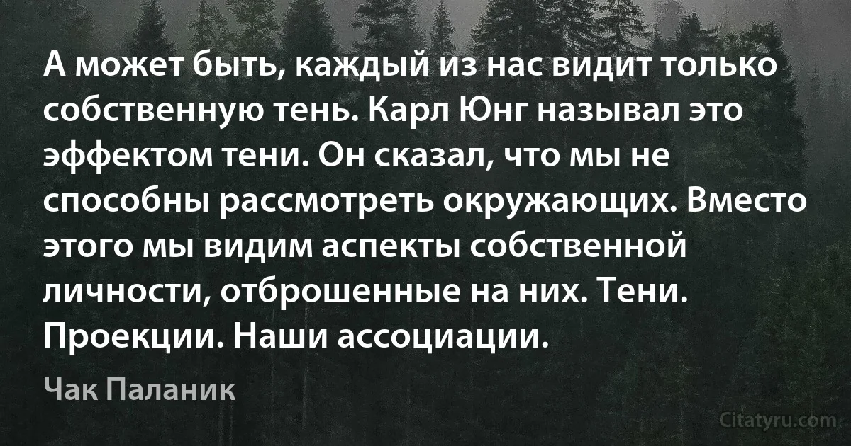 А может быть, каждый из нас видит только собственную тень. Карл Юнг называл это эффектом тени. Он сказал, что мы не способны рассмотреть окружающих. Вместо этого мы видим аспекты собственной личности, отброшенные на них. Тени. Проекции. Наши ассоциации. (Чак Паланик)