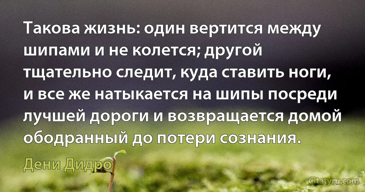 Такова жизнь: один вертится между шипами и не колется; другой тщательно следит, куда ставить ноги, и все же натыкается на шипы посреди лучшей дороги и возвращается домой ободранный до потери сознания. (Дени Дидро)