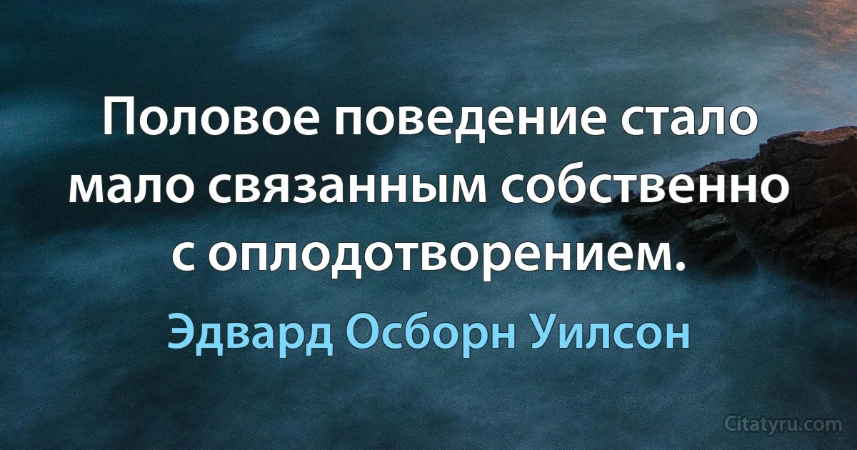 Половое поведение стало мало связанным собственно с оплодотворением. (Эдвард Осборн Уилсон)