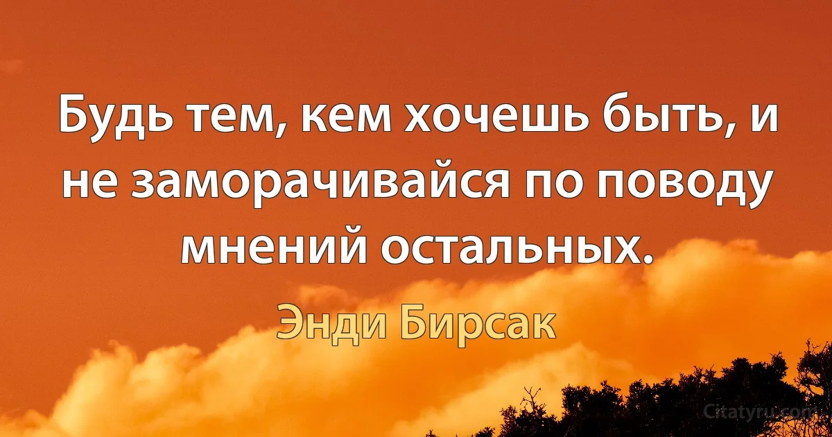 Будь тем, кем хочешь быть, и не заморачивайся по поводу мнений остальных. (Энди Бирсак)