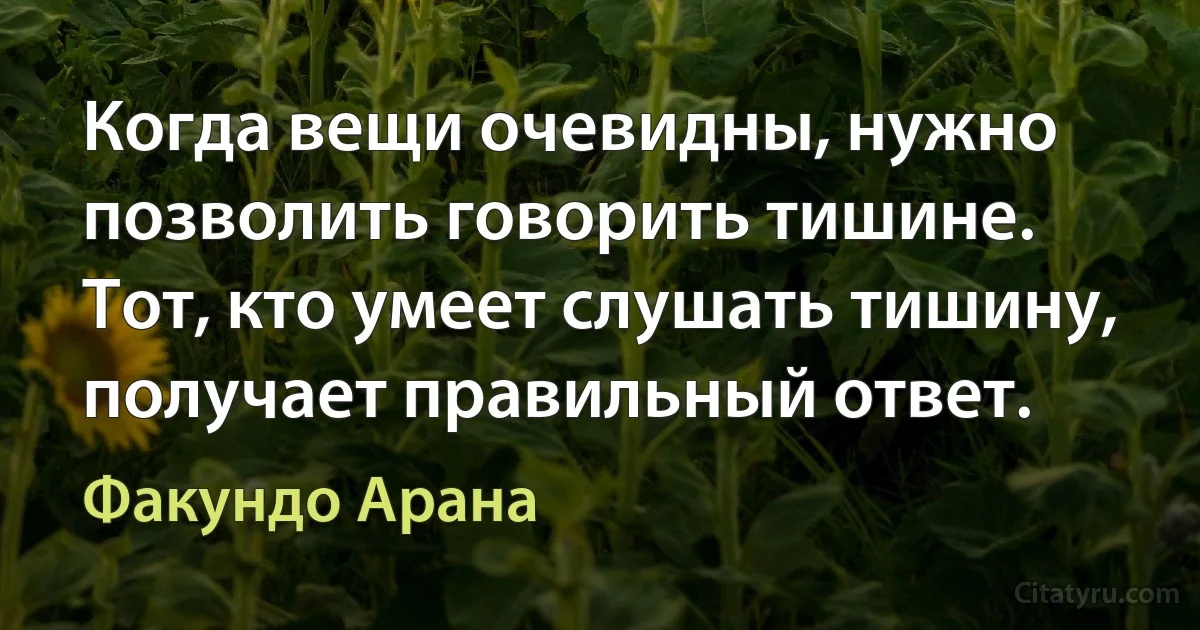 Когда вещи очевидны, нужно позволить говорить тишине. Тот, кто умеет слушать тишину, получает правильный ответ. (Факундо Арана)