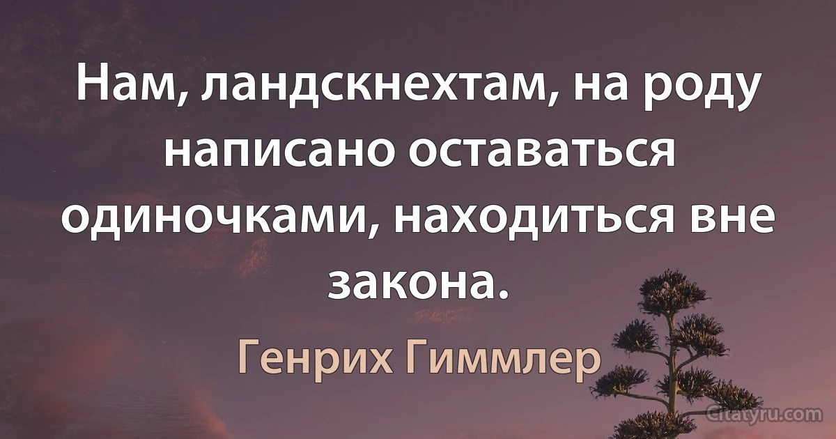 Нам, ландскнехтам, на роду написано оставаться одиночками, находиться вне закона. (Генрих Гиммлер)