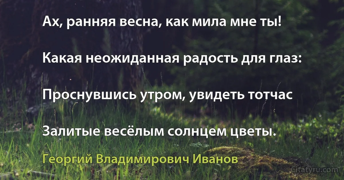 Ах, ранняя весна, как мила мне ты!

Какая неожиданная радость для глаз:

Проснувшись утром, увидеть тотчас

Залитые весёлым солнцем цветы. (Георгий Владимирович Иванов)