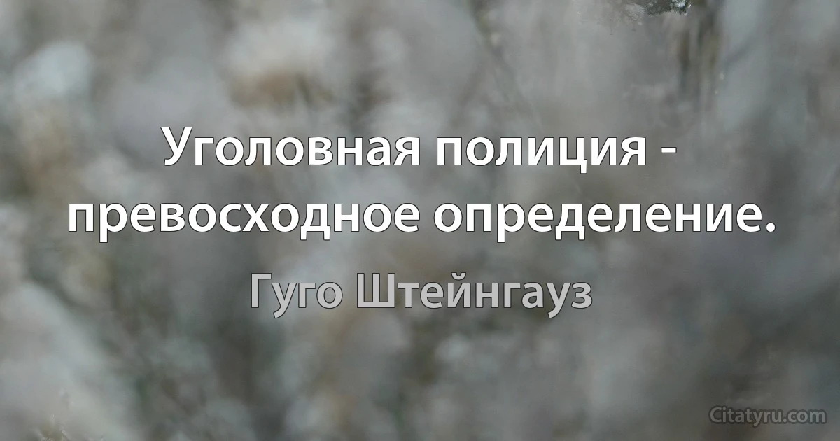 Уголовная полиция - превосходное определение. (Гуго Штейнгауз)