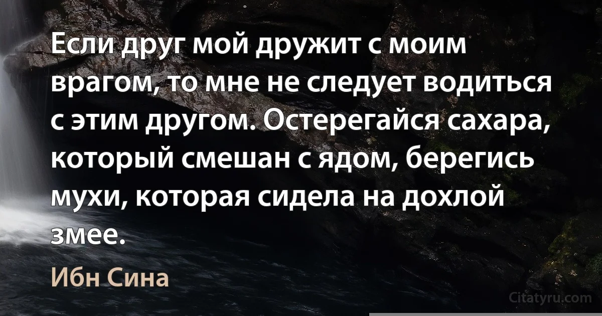 Если друг мой дружит с моим врагом, то мне не следует водиться с этим другом. Остерегайся сахара, который смешан с ядом, берегись мухи, которая сидела на дохлой змее. (Ибн Сина)