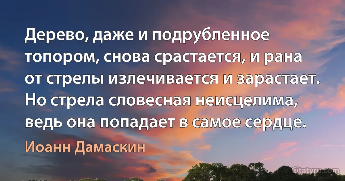 Дерево, даже и подрубленное топором, снова срастается, и рана от стрелы излечивается и зарастает. Но стрела словесная неисцелима, ведь она попадает в самое сердце. (Иоанн Дамаскин)