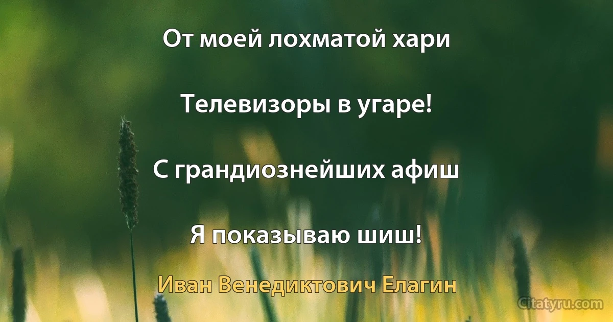 От моей лохматой хари

Телевизоры в угаре!

С грандиознейших афиш

Я показываю шиш! (Иван Венедиктович Елагин)