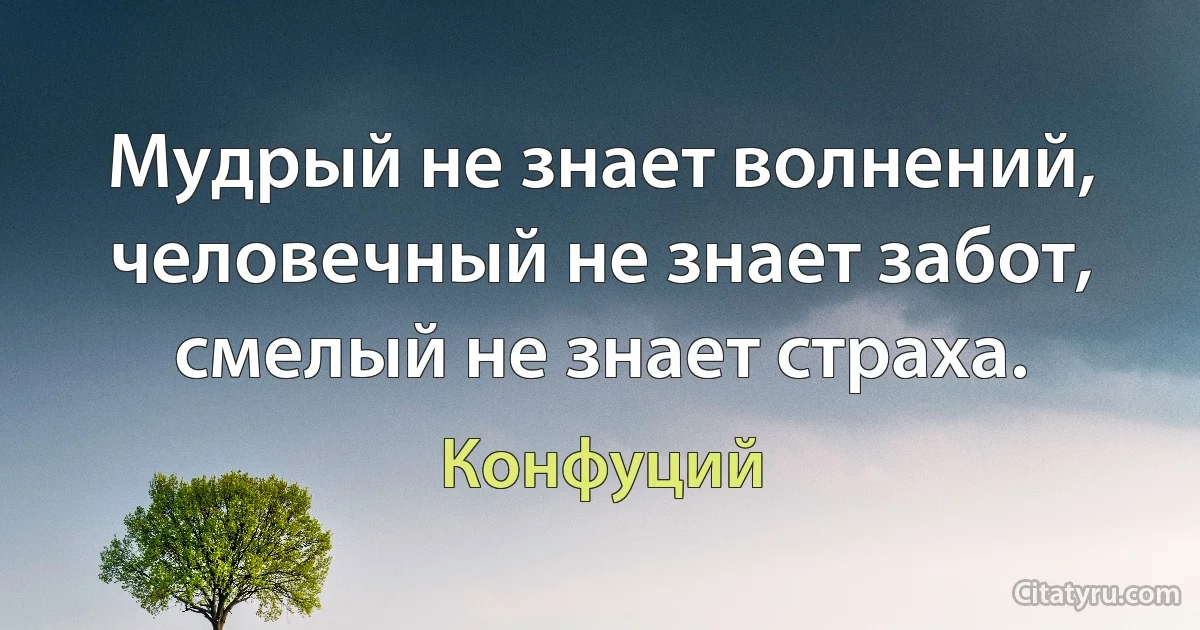 Мудрый не знает волнений, человечный не знает забот, смелый не знает страха. (Конфуций)