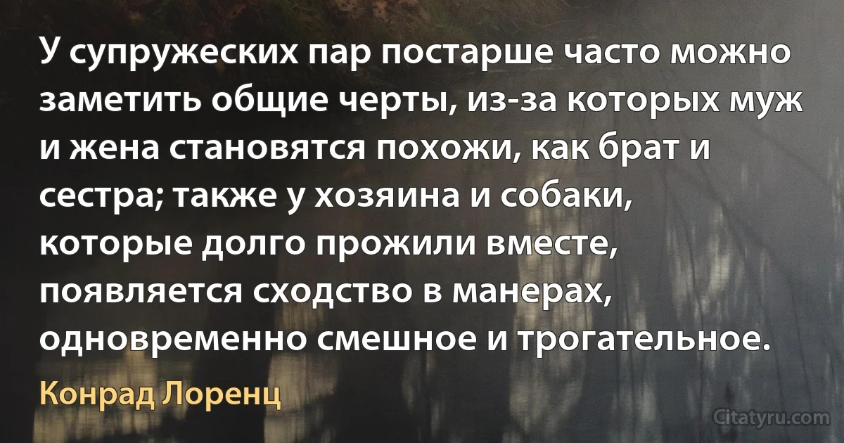 У супружеских пар постарше часто можно заметить общие черты, из-за которых муж и жена становятся похожи, как брат и сестра; также у хозяина и собаки, которые долго прожили вместе, появляется сходство в манерах, одновременно смешное и трогательное. (Конрад Лоренц)