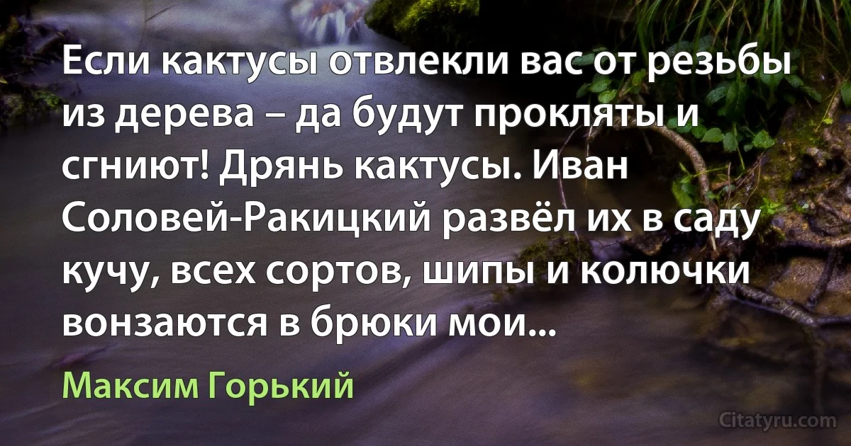 Если кактусы отвлекли вас от резьбы из дерева – да будут прокляты и сгниют! Дрянь кактусы. Иван Соловей-Ракицкий развёл их в саду кучу, всех сортов, шипы и колючки вонзаются в брюки мои... (Максим Горький)