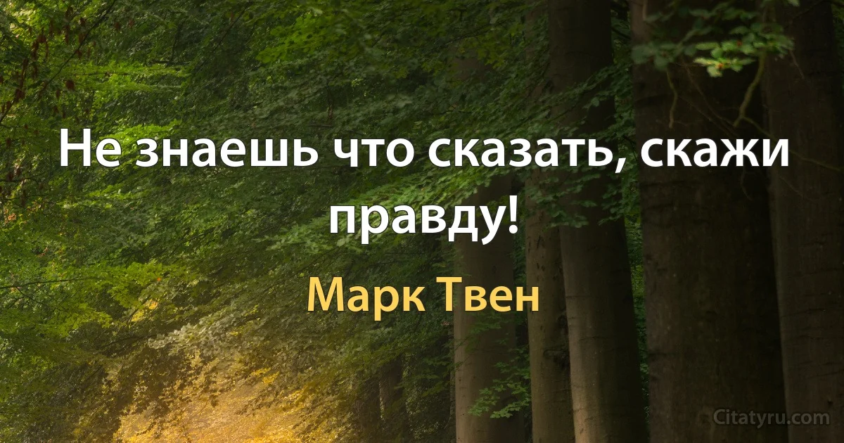 Не знаешь что сказать, скажи правду! (Марк Твен)