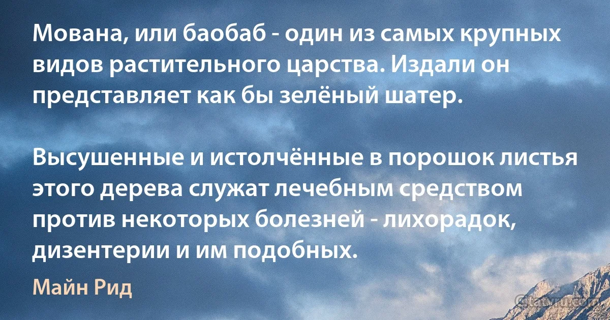 Мована, или баобаб - один из самых крупных видов растительного царства. Издали он представляет как бы зелёный шатер.

Высушенные и истолчённые в порошок листья этого дерева служат лечебным средством против некоторых болезней - лихорадок, дизентерии и им подобных. (Майн Рид)