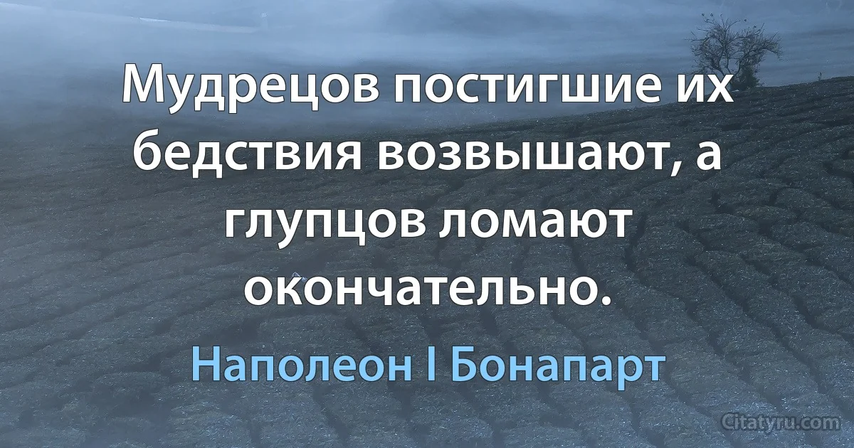 Мудрецов постигшие их бедствия возвышают, а глупцов ломают окончательно. (Наполеон I Бонапарт)