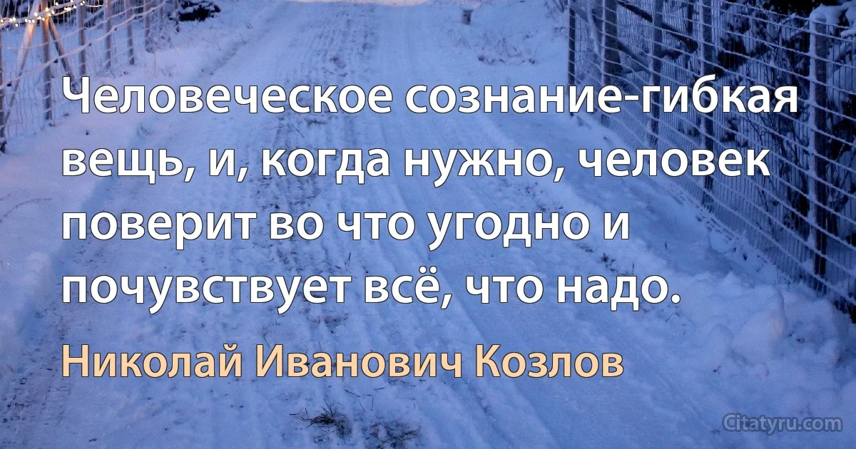 Человеческое сознание-гибкая вещь, и, когда нужно, человек поверит во что угодно и почувствует всё, что надо. (Николай Иванович Козлов)