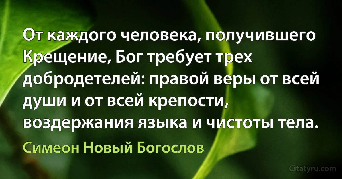 От каждого человека, получившего Крещение, Бог требует трех добродетелей: правой веры от всей души и от всей крепости, воздержания языка и чистоты тела. (Симеон Новый Богослов)
