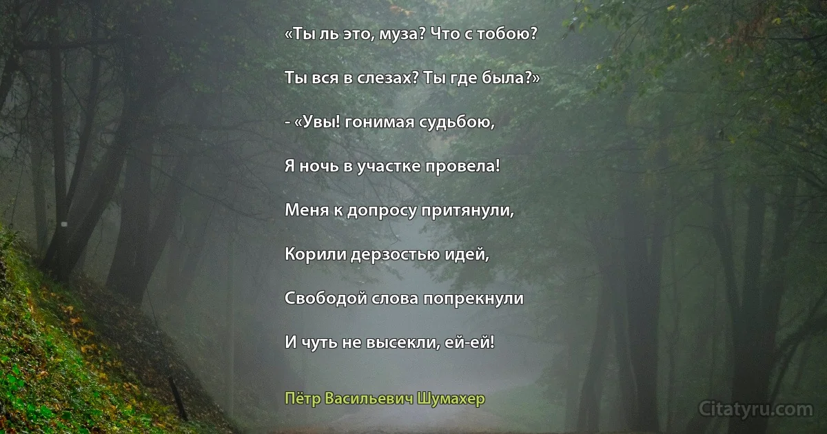 «Ты ль это, муза? Что с тобою?

Ты вся в слезах? Ты где была?»

- «Увы! гонимая судьбою,

Я ночь в участке провела!

Меня к допросу притянули,

Корили дерзостью идей,

Свободой слова попрекнули

И чуть не высекли, ей-ей! (Пётр Васильевич Шумахер)