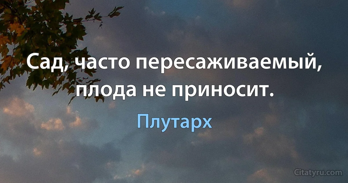 Сад, часто пересаживаемый, плода не приносит. (Плутарх)