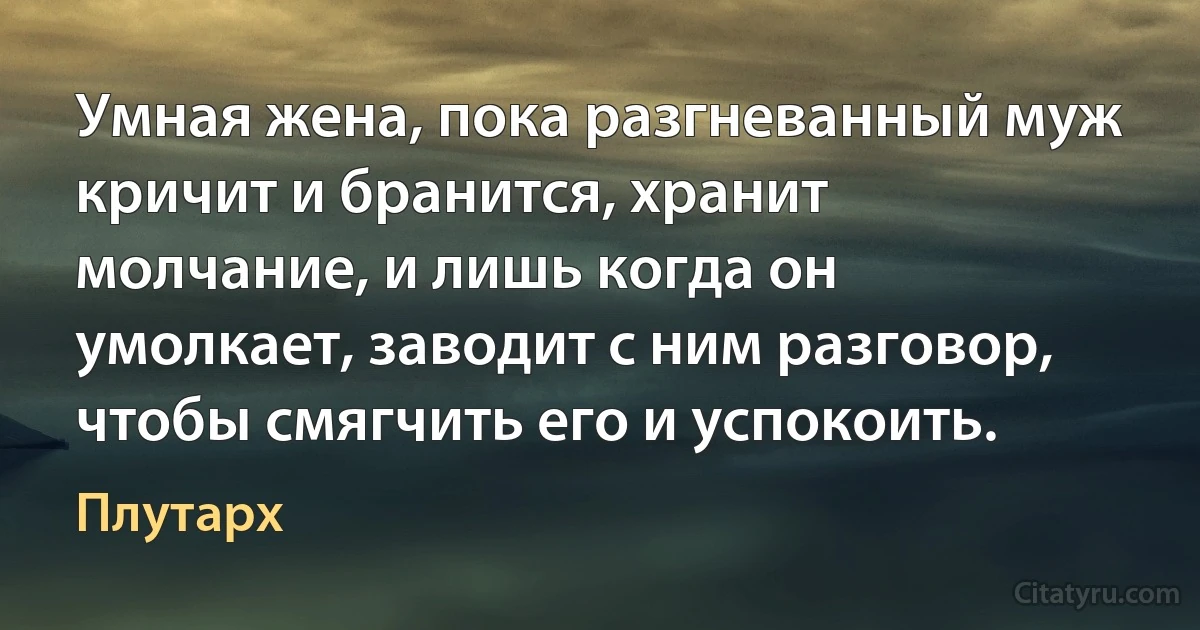 Умная жена, пока разгневанный муж кричит и бранится, хранит молчание, и лишь когда он умолкает, заводит с ним разговор, чтобы смягчить его и успокоить. (Плутарх)