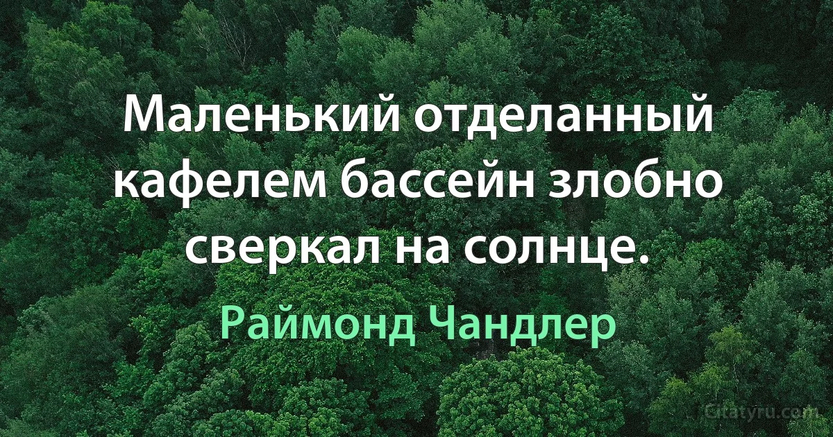 Маленький отделанный кафелем бассейн злобно сверкал на солнце. (Раймонд Чандлер)