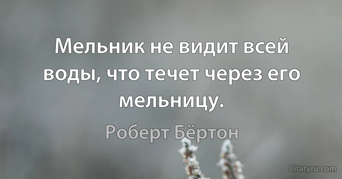 Мельник не видит всей воды, что течет через его мельницу. (Роберт Бёртон)