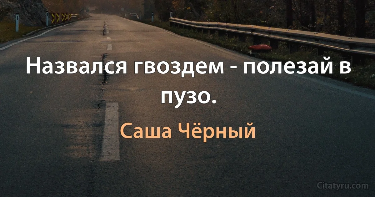 Назвался гвоздем - полезай в пузо. (Саша Чёрный)