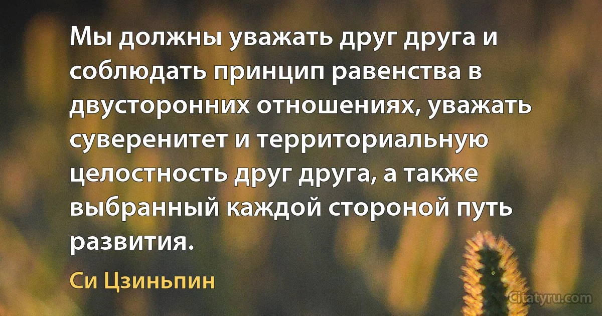 Мы должны уважать друг друга и соблюдать принцип равенства в двусторонних отношениях, уважать суверенитет и территориальную целостность друг друга, а также выбранный каждой стороной путь развития. (Си Цзиньпин)