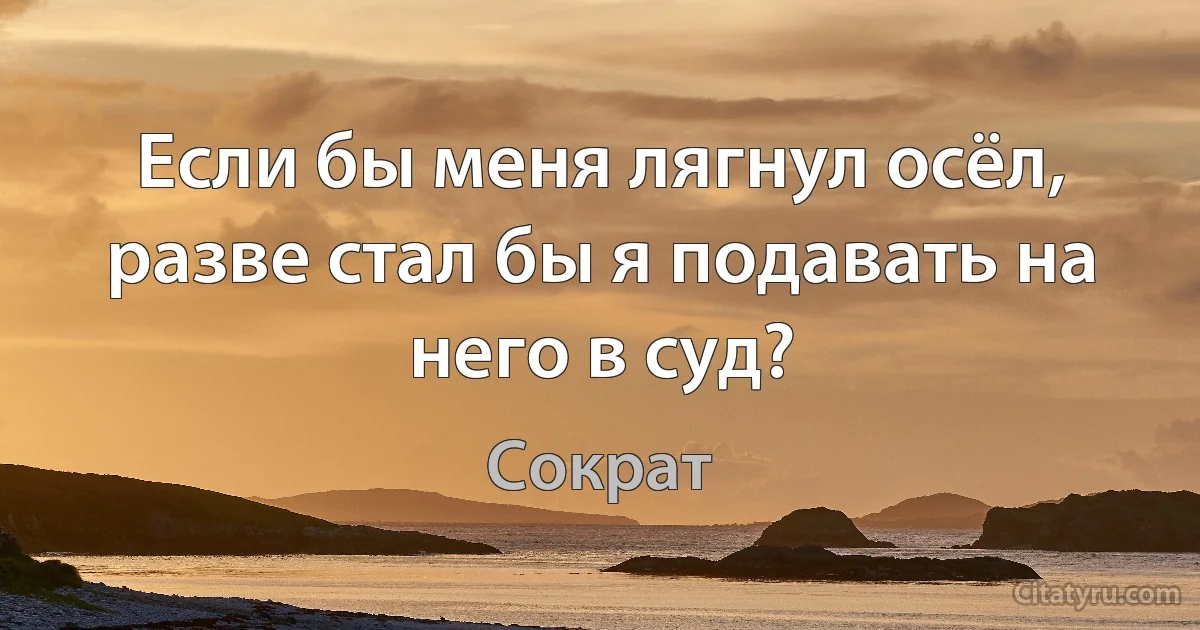 Если бы меня лягнул осёл, разве стал бы я подавать на него в суд? (Сократ)