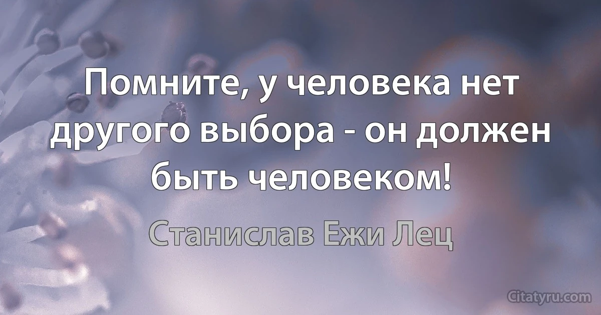 Помните, у человека нет другого выбора - он должен быть человеком! (Станислав Ежи Лец)