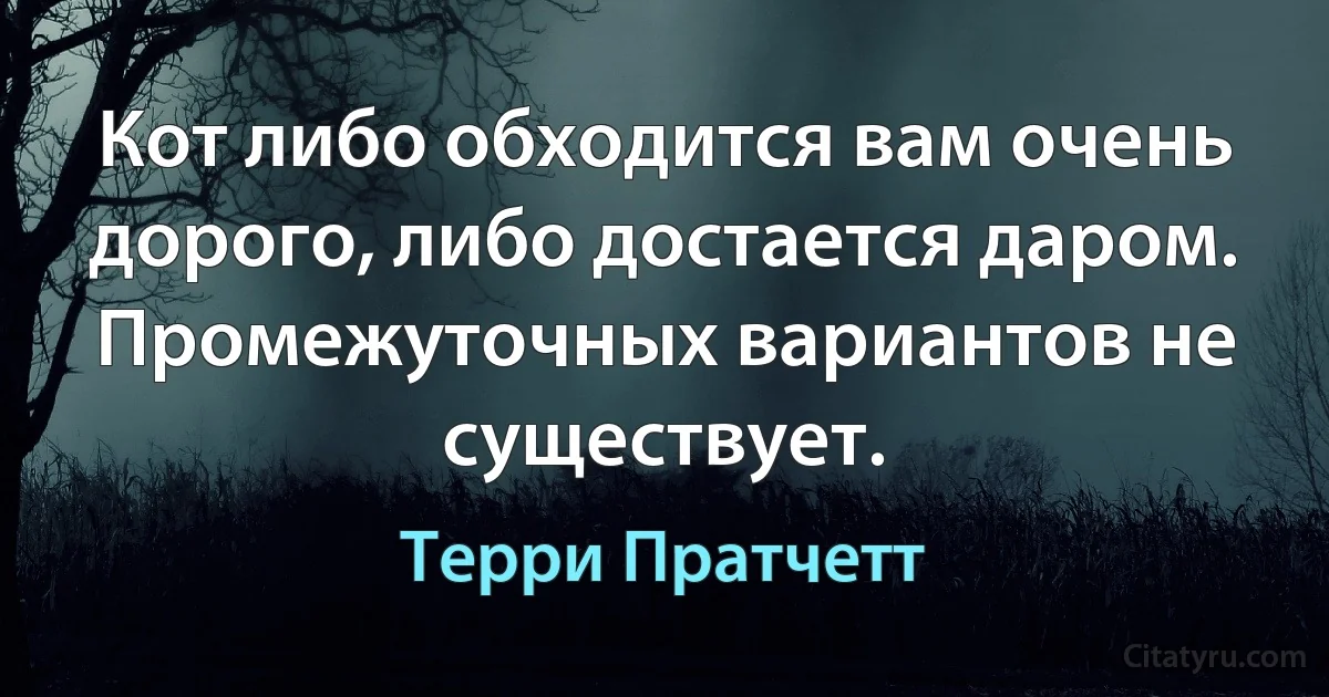 Кот либо обходится вам очень дорого, либо достается даром. Промежуточных вариантов не существует. (Терри Пратчетт)