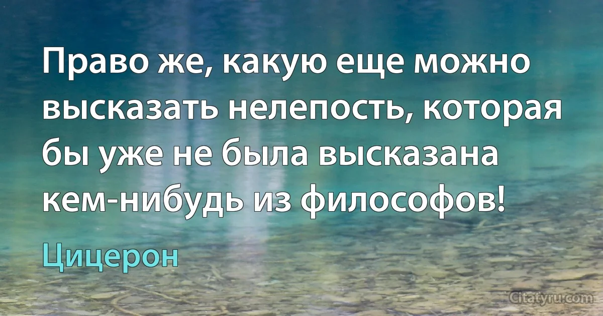 Право же, какую еще можно высказать нелепость, которая бы уже не была высказана кем-нибудь из философов! (Цицерон)