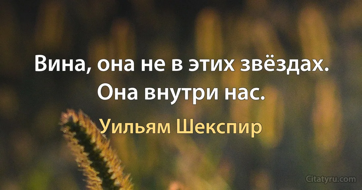 Вина, она не в этих звёздах. Она внутри нас. (Уильям Шекспир)