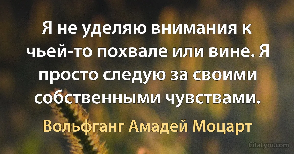 Я не уделяю внимания к чьей-то похвале или вине. Я просто следую за своими собственными чувствами. (Вольфганг Амадей Моцарт)