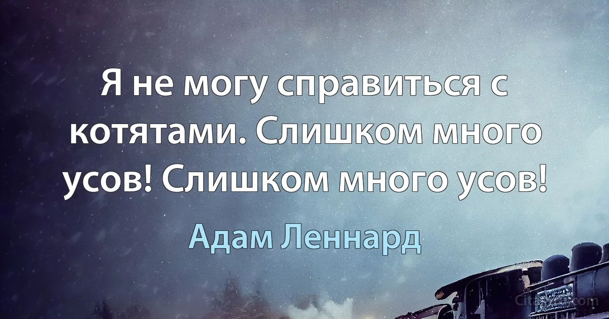 Я не могу справиться с котятами. Слишком много усов! Слишком много усов! (Адам Леннард)