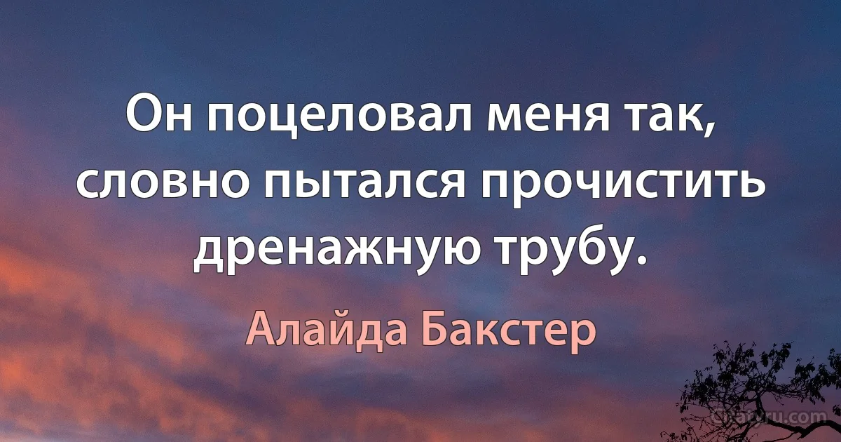 Он поцеловал меня так, словно пытался прочистить дренажную трубу. (Алайда Бакстер)