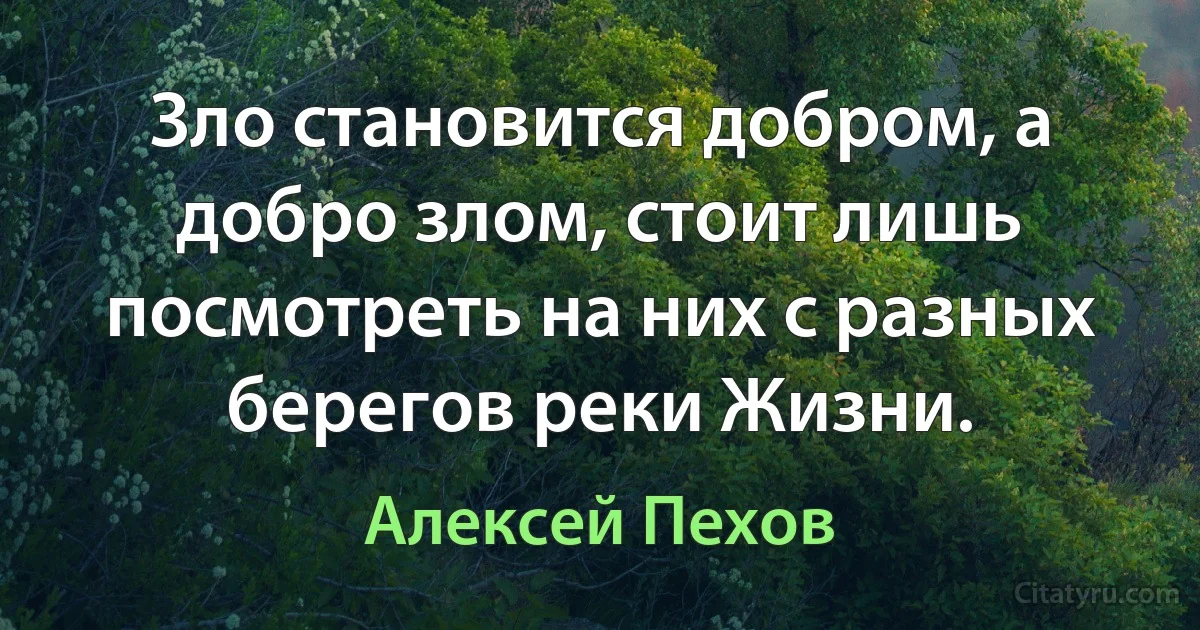 Зло становится добром, а добро злом, стоит лишь посмотреть на них с разных берегов реки Жизни. (Алексей Пехов)