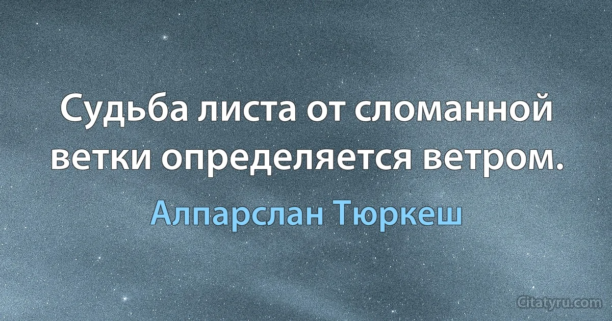 Судьба листа от сломанной ветки определяется ветром. (Алпарслан Тюркеш)