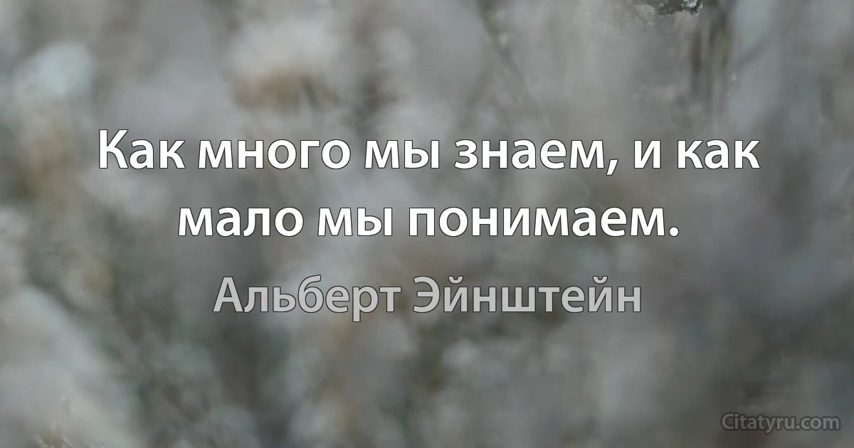 Как много мы знаем, и как мало мы понимаем. (Альберт Эйнштейн)