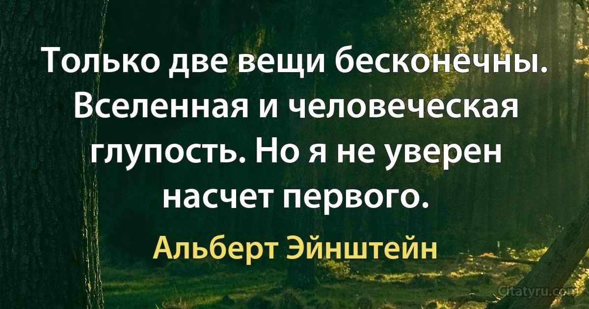 Только две вещи бесконечны. Вселенная и человеческая глупость. Но я не уверен насчет первого. (Альберт Эйнштейн)