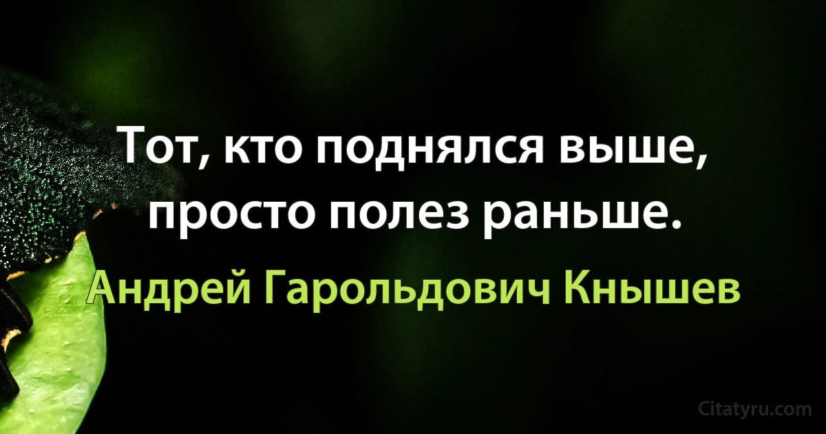 Тот, кто поднялся выше, просто полез раньше. (Андрей Гарольдович Кнышев)