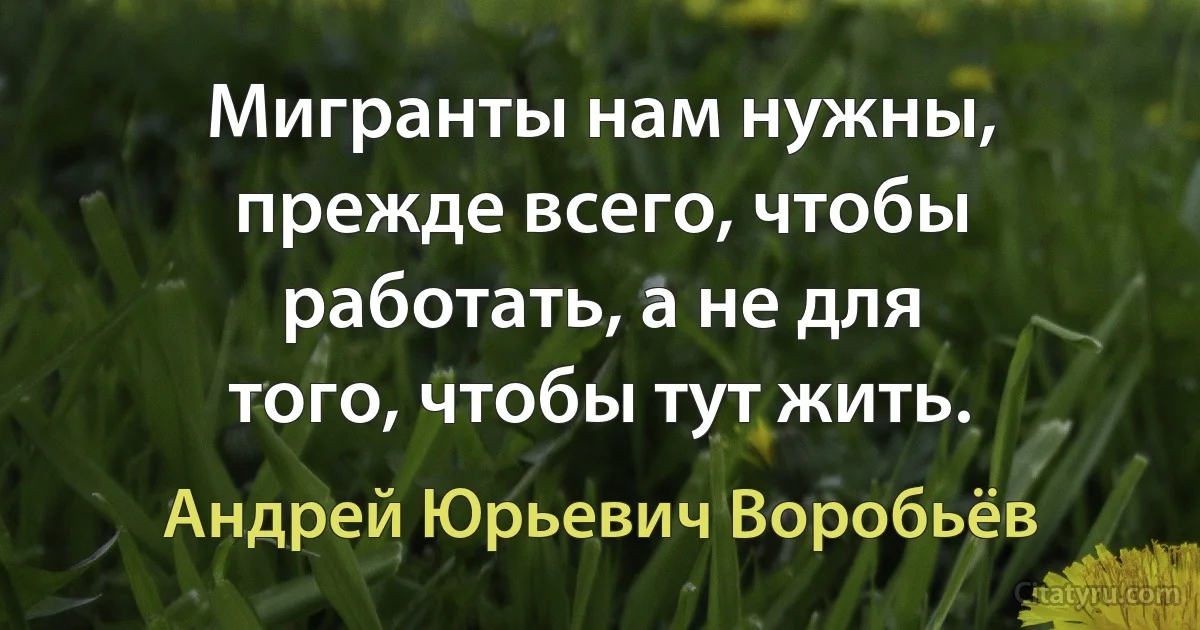 Мигранты нам нужны, прежде всего, чтобы работать, а не для того, чтобы тут жить. (Андрей Юрьевич Воробьёв)