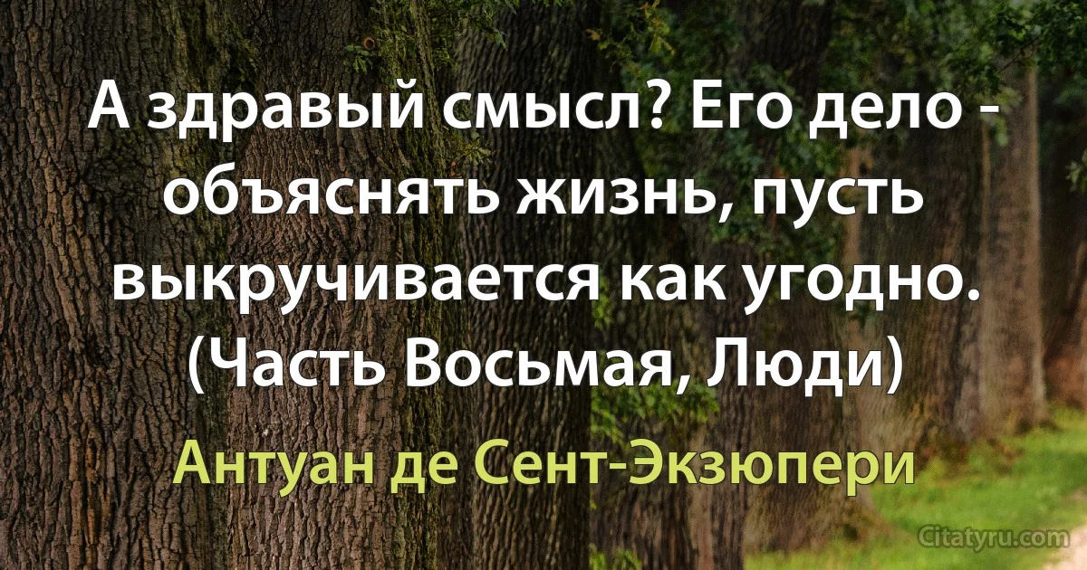 А здравый смысл? Его дело - объяснять жизнь, пусть выкручивается как угодно. (Часть Восьмая, Люди) (Антуан де Сент-Экзюпери)