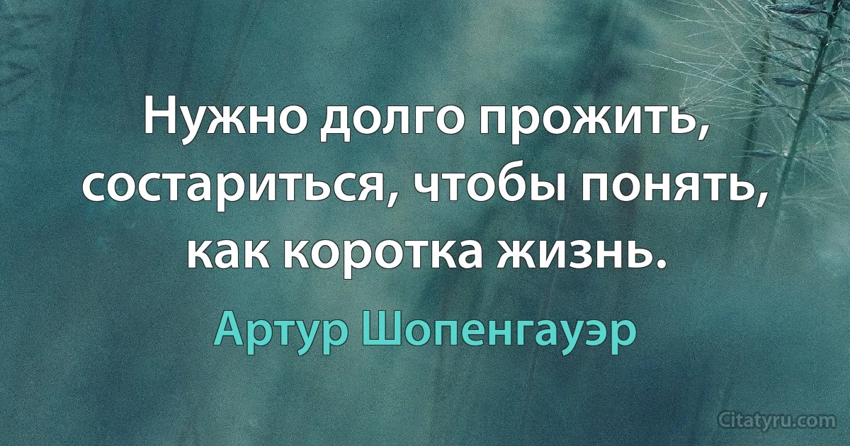 Нужно долго прожить, состариться, чтобы понять, как коротка жизнь. (Артур Шопенгауэр)