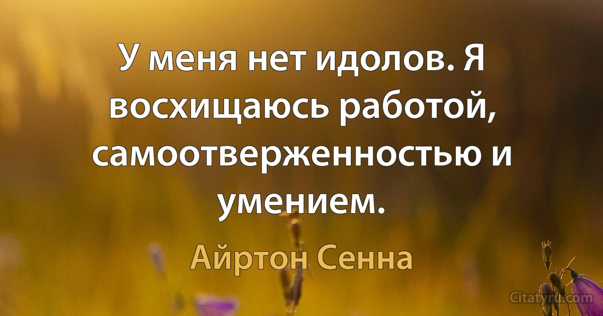 У меня нет идолов. Я восхищаюсь работой, самоотверженностью и умением. (Айртон Сенна)