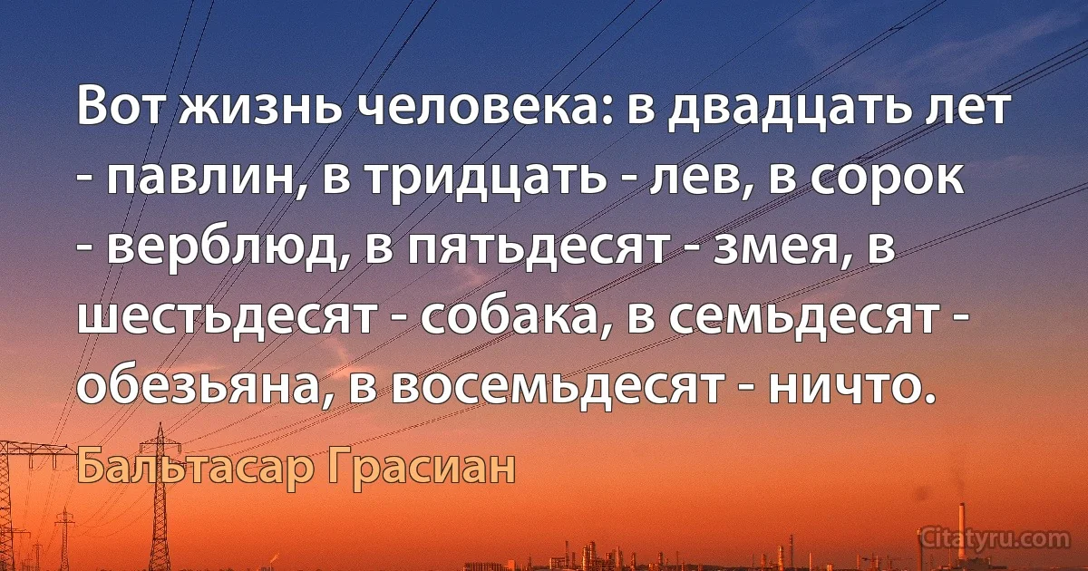 Вот жизнь человека: в двадцать лет - павлин, в тридцать - лев, в сорок - верблюд, в пятьдесят - змея, в шестьдесят - собака, в семьдесят - обезьяна, в восемьдесят - ничто. (Бальтасар Грасиан)