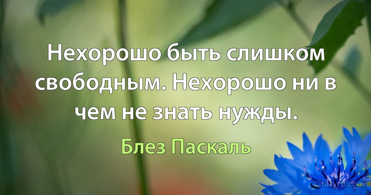 Нехорошо быть слишком свободным. Нехорошо ни в чем не знать нужды. (Блез Паскаль)