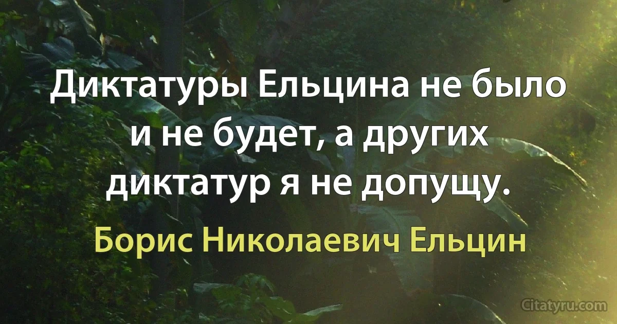 Диктатуры Ельцина не было и не будет, а других диктатур я не допущу. (Борис Николаевич Ельцин)