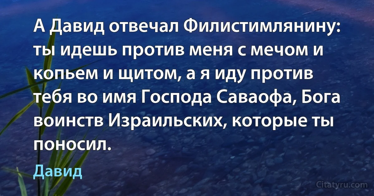 А Давид отвечал Филистимлянину: ты идешь против меня с мечом и копьем и щитом, а я иду против тебя во имя Господа Саваофа, Бога воинств Израильских, которые ты поносил. (Давид)