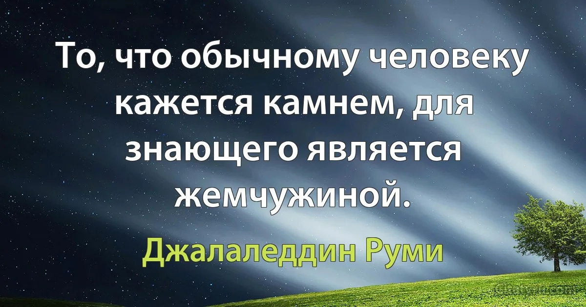 То, что обычному человеку кажется камнем, для знающего является жемчужиной. (Джалаледдин Руми)