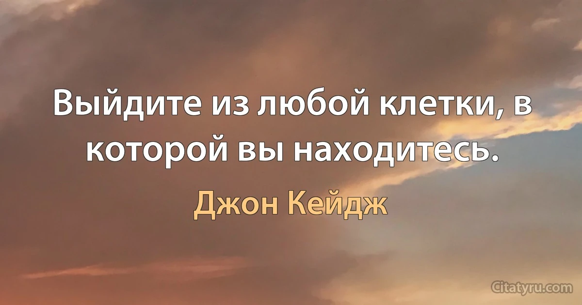 Выйдите из любой клетки, в которой вы находитесь. (Джон Кейдж)