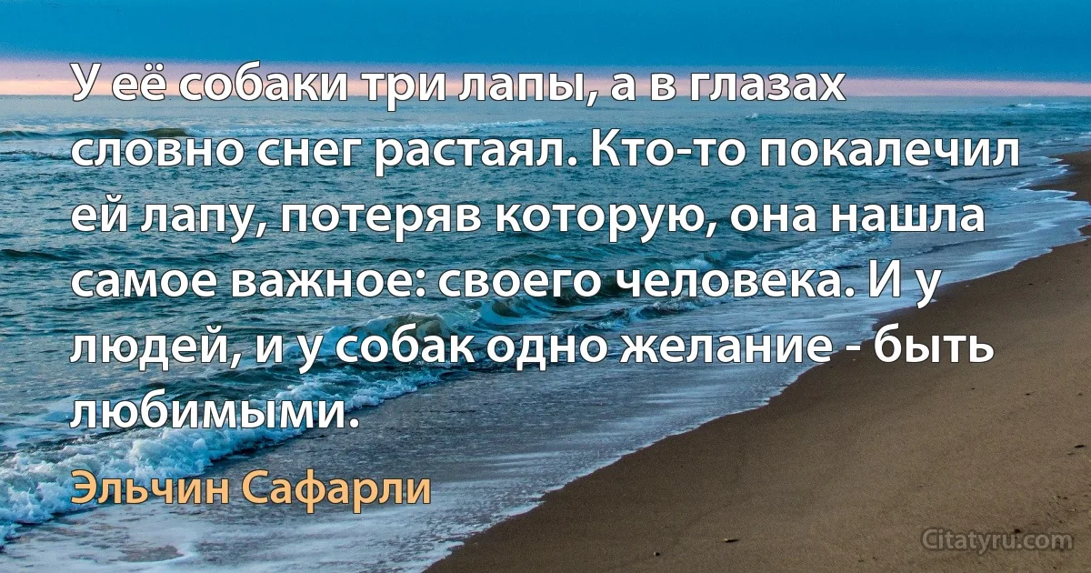 У её собаки три лапы, а в глазах словно снег растаял. Кто-то покалечил ей лапу, потеряв которую, она нашла самое важное: своего человека. И у людей, и у собак одно желание - быть любимыми. (Эльчин Сафарли)